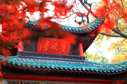 &#24320;&#20113;&#40;&#20013;&#22269;&#41;&#75;&#97;&#105;&#121;&#117;&#110;